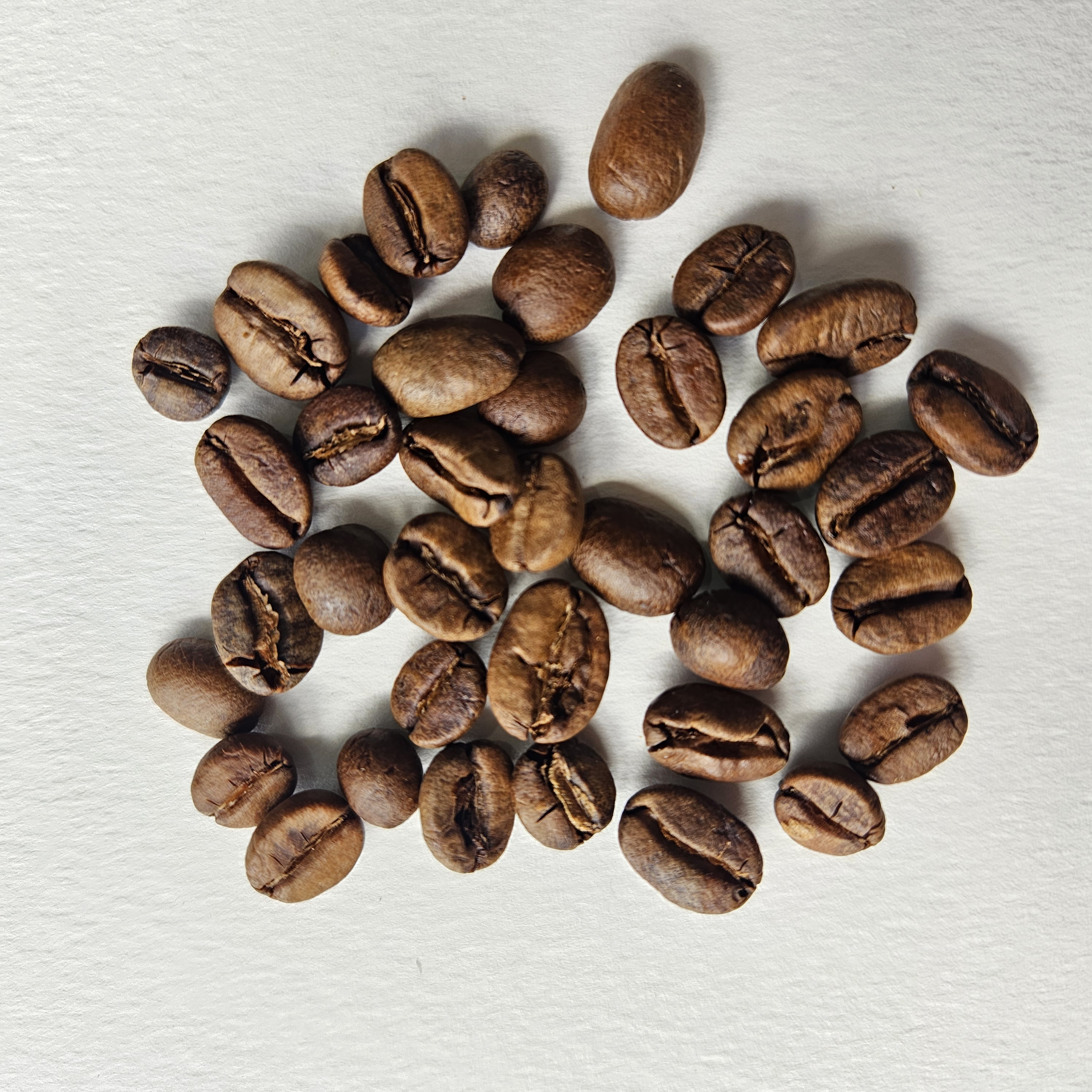 Peruvian specialty coffee beans: SL28 - Cajamarca [Fransico Rodriguez]