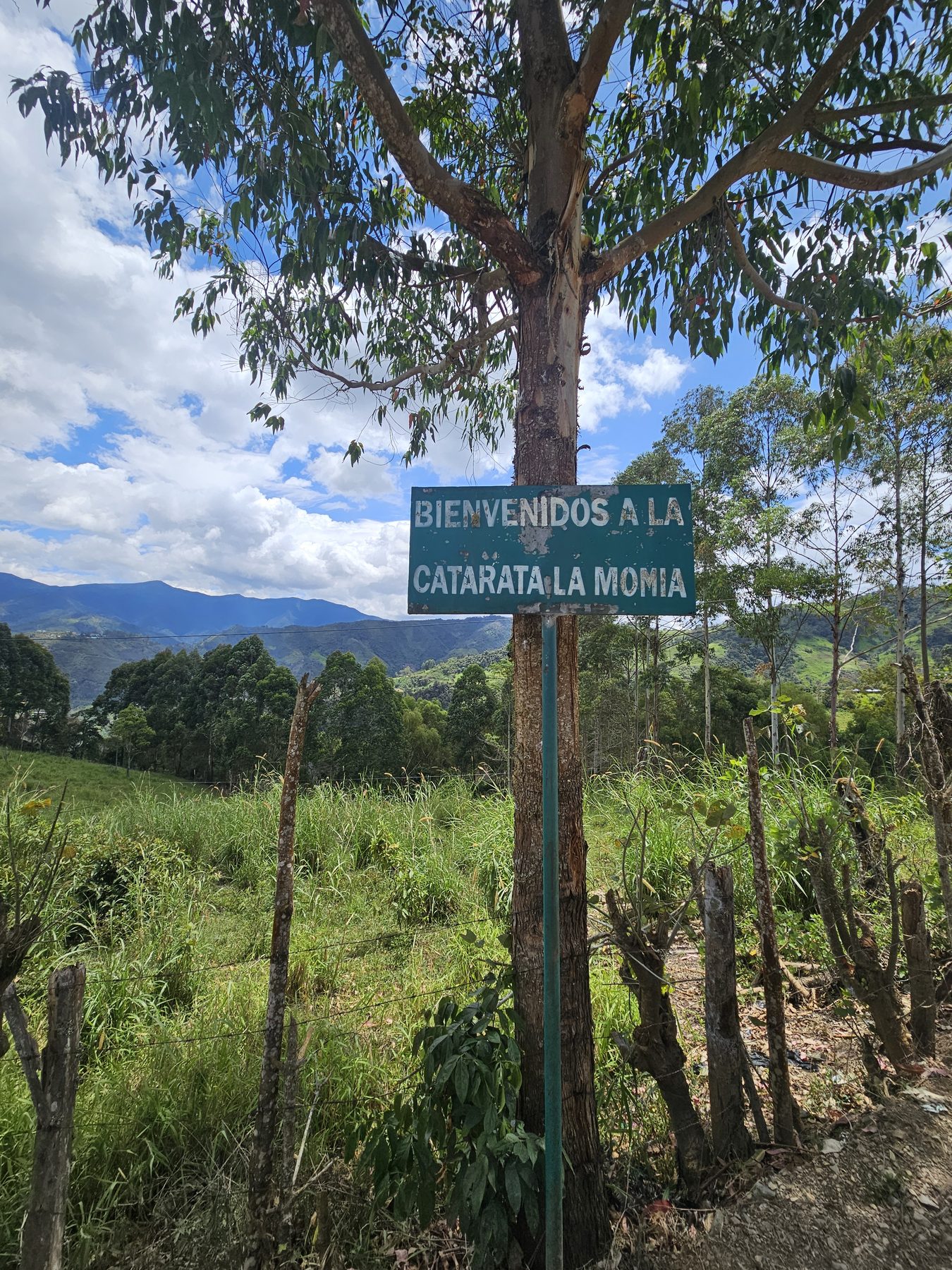 Peruvian specialty coffee beans: La Catarata [Geisha]
