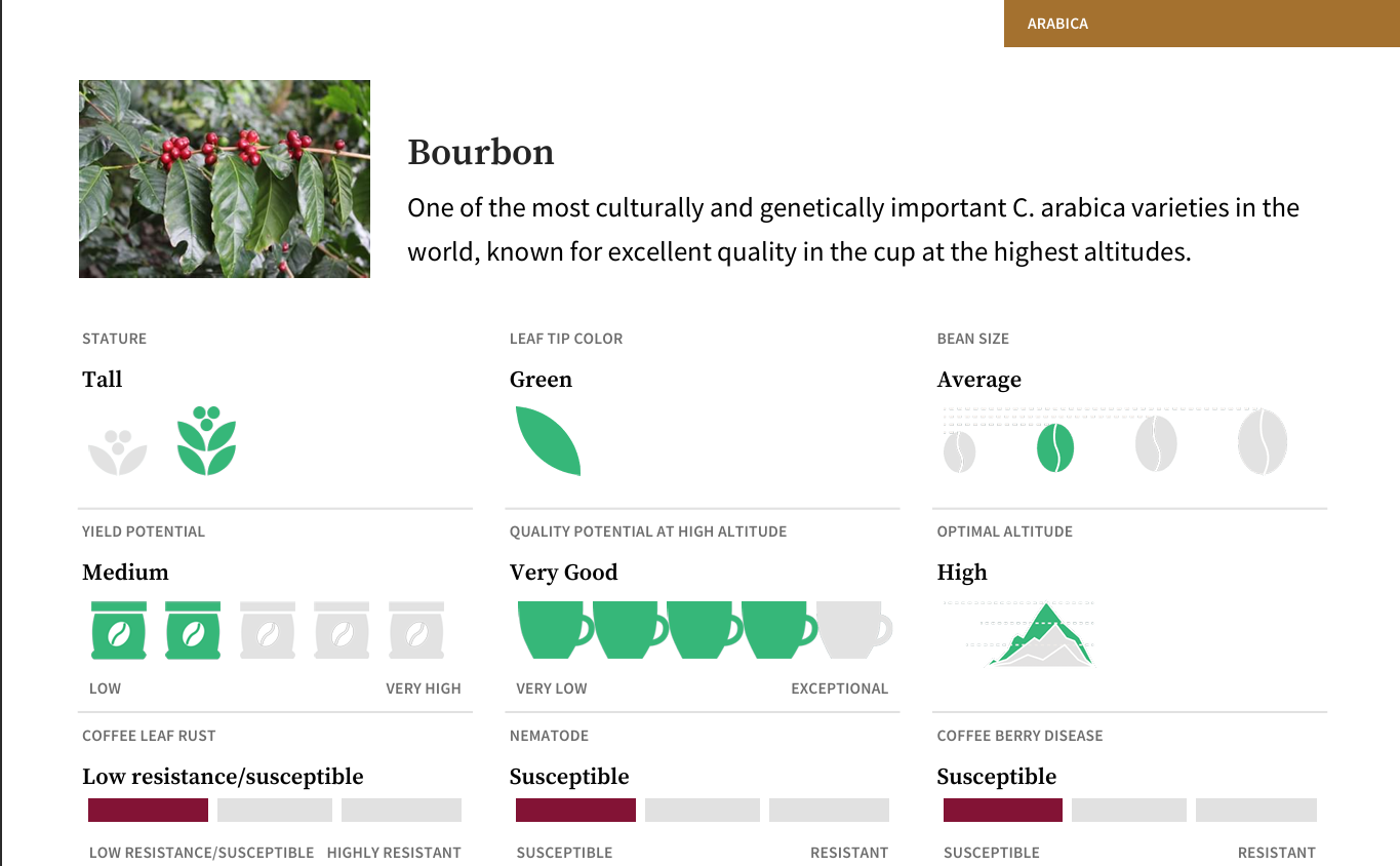 Bourbon