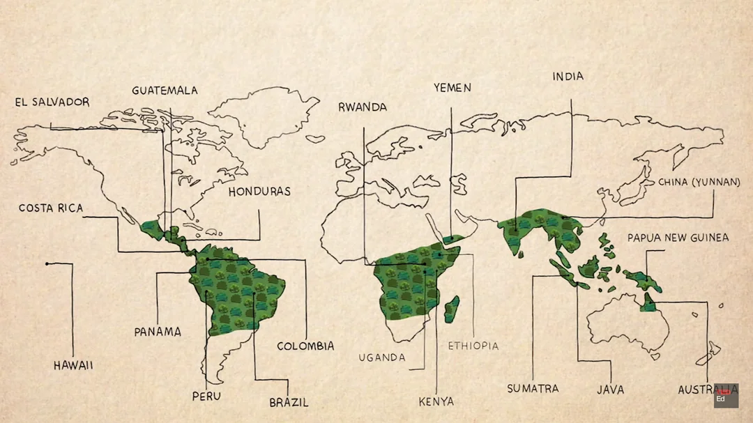 World Map