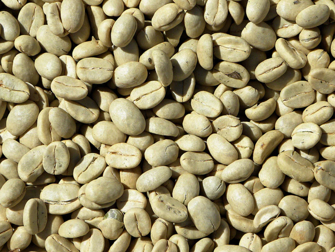 Washed coffee drying as parchment after the fruit is removed.